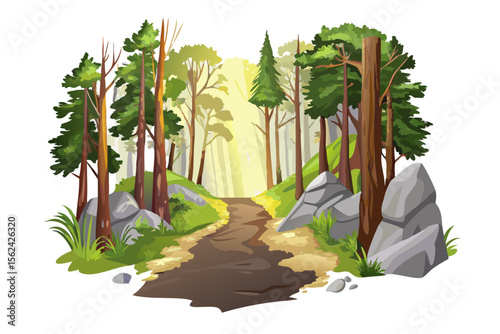 Sunlight streams through tall trees onto a winding forest path with rocks