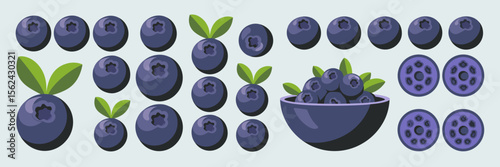 Vector sheet of blueberry icons in varied styles – Suitable for recipe books, food apps, or health campaigns