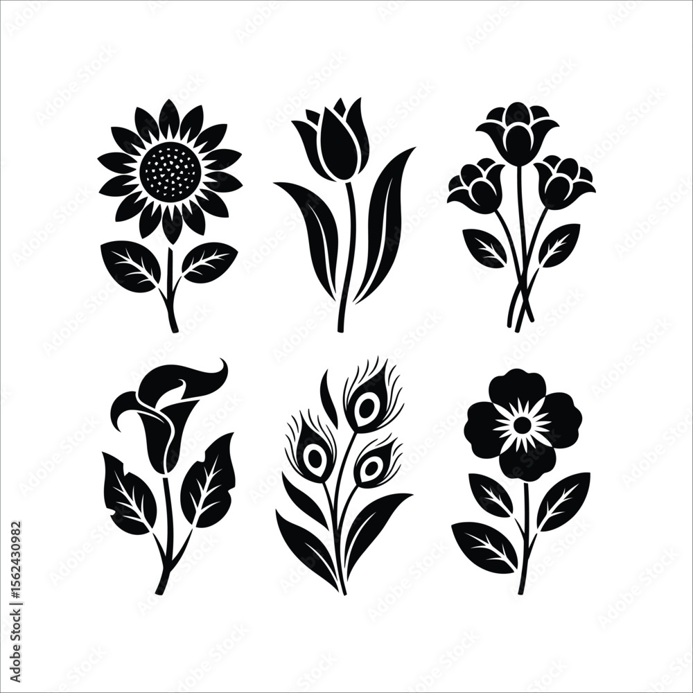 Black and white floral vector design elements sunflower tulip lilies peacock flower botanical illustration