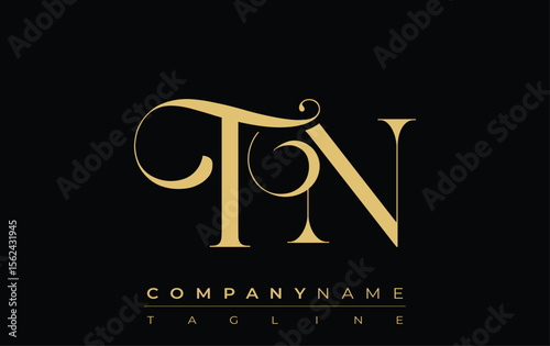 TN Abstract Creative Jewelry Logo. A stylish logo featuring golden monogram initials in an elegant and modern typography, perfect for branding