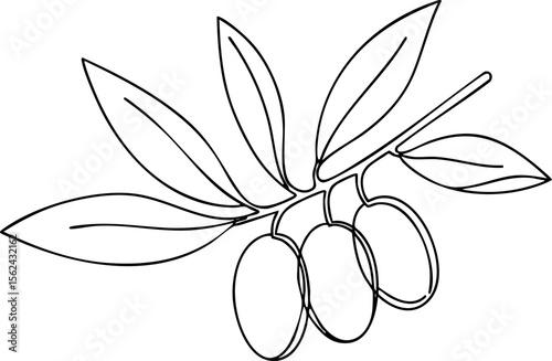Olive branch with three olives simple black line drawing vector illustration 