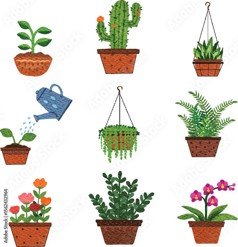 Watercolor element set of nature plants, flowers, fruits and objects on isolated background
