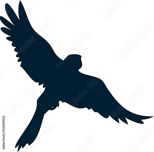 Bird in flight vector, silhouette parrot, eagle or pigeon, symbolizing peace, freedom, and sky.