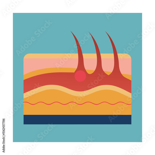 Skin layers
