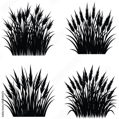 Grass and Bush Silhouette Vector – Natural Ground Texture Design