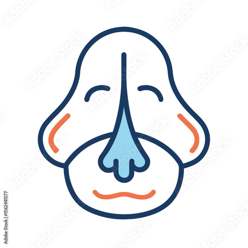 Nasal Sinus Anatomy