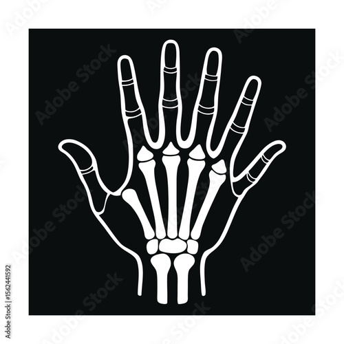 White Hand Bones