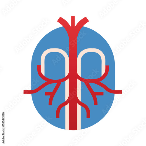 Artery vein