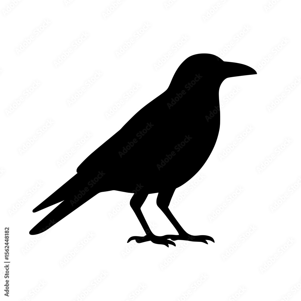 Obraz premium Black Crow Silhouette on White Background