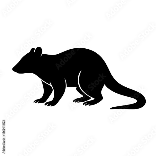 Silhouette of Quoll in Dark Profile with Subtle Shadow Details