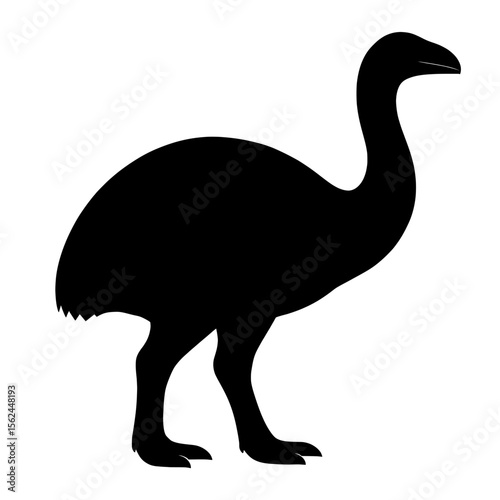 Majestic Elephant Bird Silhouette with Elegant Posture and Feathery Details