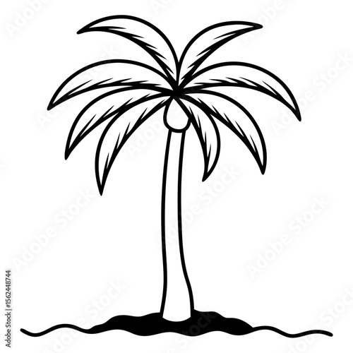 a palm