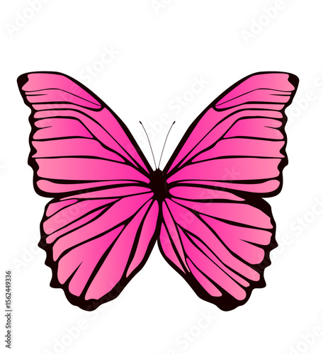 bunter Schmetterling, transparenter Hintergrund, Vektor