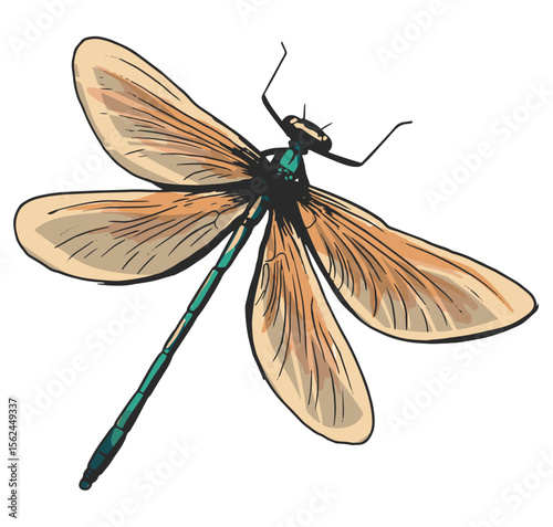 bunter Schmetterling, transparenter Hintergrund, Vektor