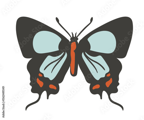 bunter Schmetterling, transparenter Hintergrund, Vektor