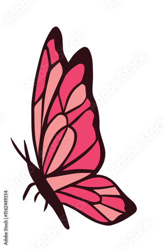 bunter Schmetterling, transparenter Hintergrund, Vektor