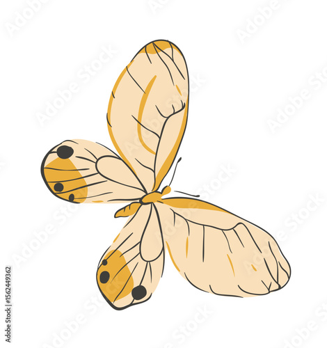 bunter Schmetterling, transparenter Hintergrund, Vektor