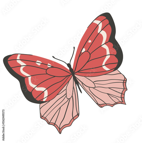 bunter Schmetterling, transparenter Hintergrund, Vektor