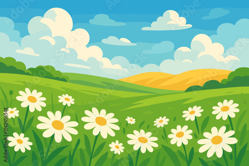 Summer chamomile flower field landscape. Blooming daisy wildflowers on green meadows, rolling yellow hills, blue sky with fluffy clouds. Sunny rural countryside nature vector illustration
