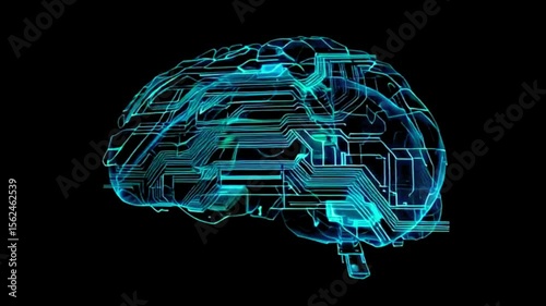 x ray of the brain circuit