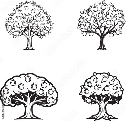 vector illustration of apricot tree