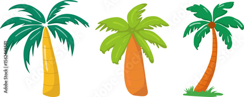 Vector image of a palm tree. Set of different palm trees.