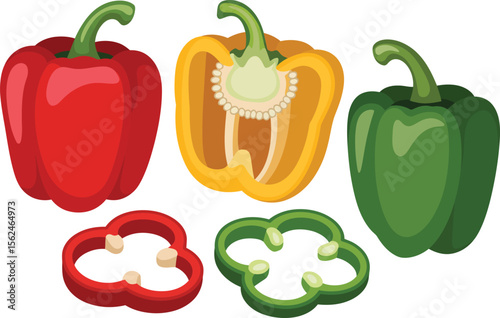 Set of colorful vector illustration of healthy red, yellow, and green bell peppers, perfect fresh diet ingredients Vector illustration