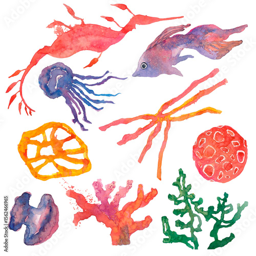 Marine watercolor set . Jellyfish, fish, seahorse, algae on transparent background.