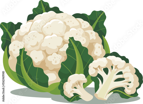 Vibrant Cauliflower Composition Featuring Whole Head and Cut Florets with Green Leaves, Evoking Freshness and Culinary Inspiration Vector Illustration