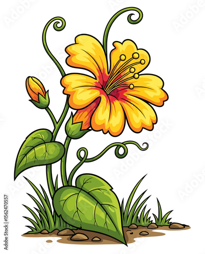 Beautiful Yellow Creeper Flower with Grass vector illustration isolated. Yellow Hibiscus