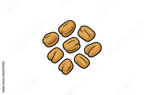 Fenugreek seed vector on white background.01