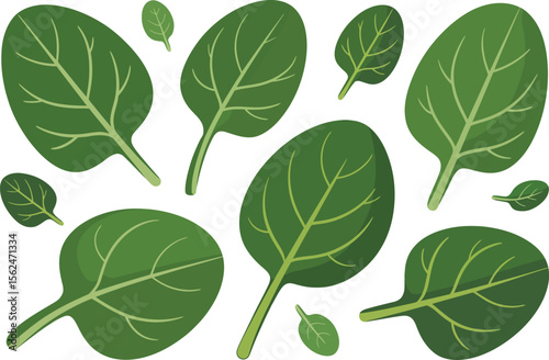 Vibrant and Fresh Spinach Leaves Pattern A Delightful Design for Healthy Eating and Natural Greenery Illustrations and Culinary CreationsVector Illustration