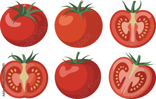 Vibrant Tomato Medley A Collection of Whole and Halved Tomatoes Showcasing Their Freshness and Culinary Versatility in a Clean Presentation Vector Illustration