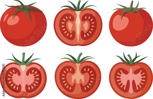 Cartoon Tomatoes Whole and Halved Featuring Red Skin Green Stems and Visible Seeds on a White Background Vector Illustration