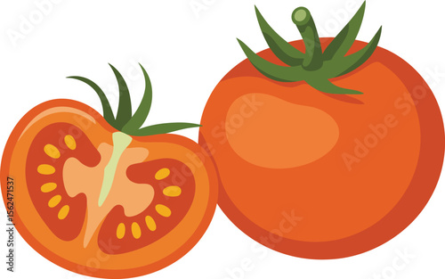 Vibrant Tomato Duo A Fresh and Colorful Still Life with Slice and Whole Tomato Vector Illustration