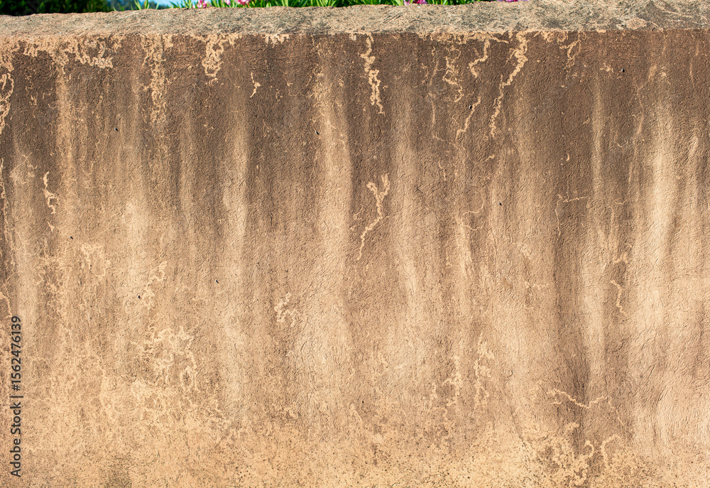 Fototapeta premium Damaged wall mould