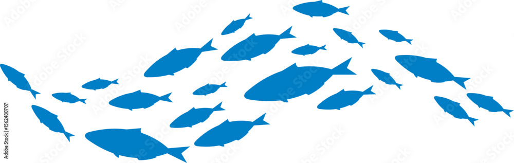 Fototapeta premium 魚