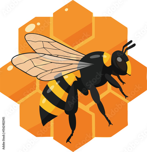 Bee flying over honeycomb hexagonal cells with natural yellow and black colors digital vector illustration