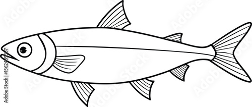 Anchovy fish outline drawing in simple sketch style for ocean themes or coloring projects
