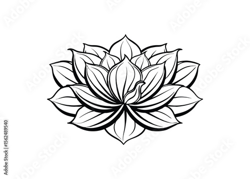 Silhouette of petal shapes isolated on a white background