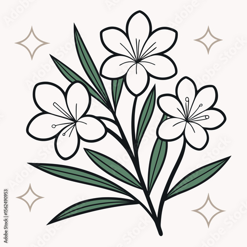 White flowers with green leaves and stars branches