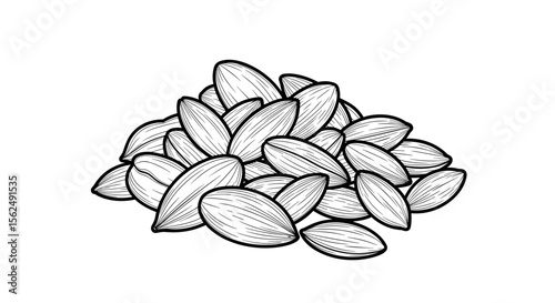 Pile of seeds in black and white