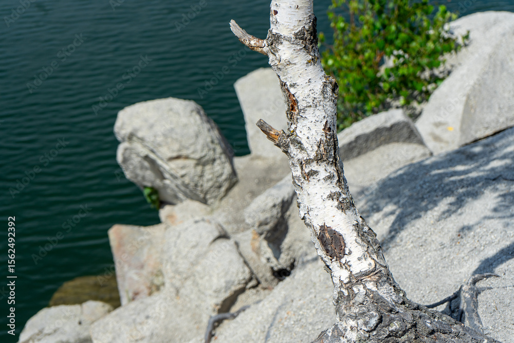 Obraz premium The abandoned Korostyshiv quarry, with its deep blue waters and rugged cliffs, has become a scenic spot for recreation, fishing, and swimming.