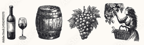 traditional winemaking elements set isolated hand drawn sketch line art element with wine bottle filled glass wooden barrel bunch of grapes woman harvesting grapes into basket from vine vineyard