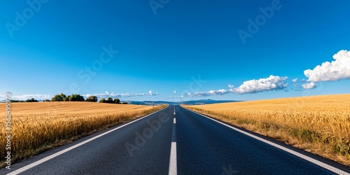 two-lane rural highway with golden wheat fields on both sides, deep sky blues, slight curvature in road, worn but readable lines, rustic guardrails, natural color harmony