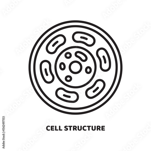 Black Line Art Cell Structure Diagram Biology Science Education