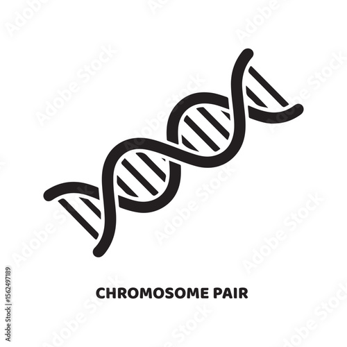 Black Chromosome Pair Icon Genetics D N A Biology Science