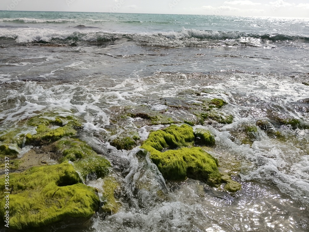 Fototapeta premium waves on the rocks covered with green algaes