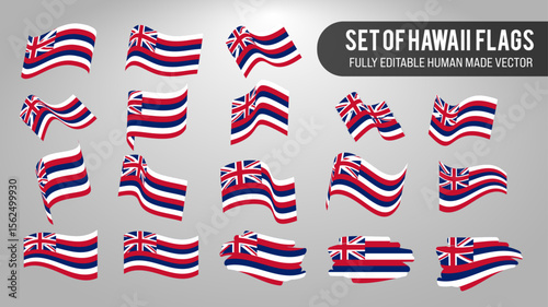 Vector Set of Hawaii Flags