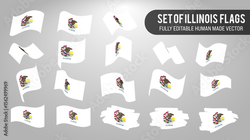 Vector Set of Illinois Flags
